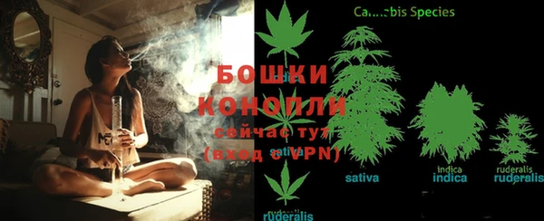 стафф Бугульма